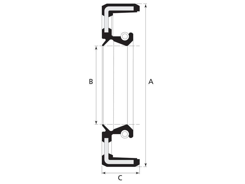 Sparex Metric Rotary Shaft Seal, 35 x 56 x 12mm Double Lip | S.50282 - Product Image 3