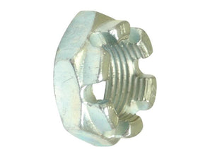 Sparex Metric Castle Nut, M16x2.00mm (DIN 935) Metric Fine, a hexagonal locknut with notches used to secure objects together, is shown against a white background. This high-quality nut adheres to DIN 935 standards, ensuring reliable performance in various applications.