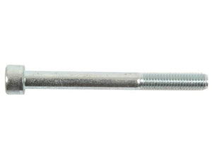 A stainless steel Socket Capscrew (M8x80mm) with a cylindrical head and threaded end, offered by Sparex.