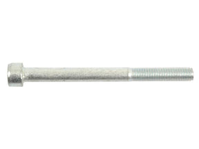 Sparex Socket Capscrew, M10x100mm (DIN 912) | S.53906 - Product Image 1