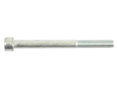 Sparex Socket Capscrew, M10x100mm (DIN 912) | S.53906 - Product Image 1