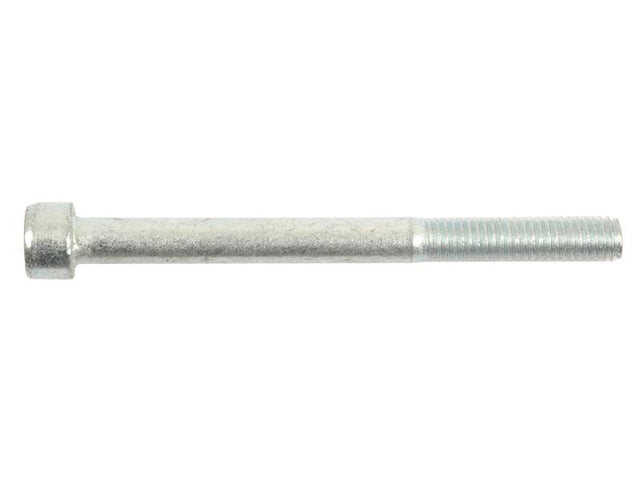 Sparex Socket Capscrew, M10x100mm (DIN 912) | S.53906 - Product Image 1