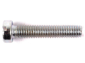 Sparex Metric Cheese Head Machine Screw, M6x40mm (DIN 84) | S.54096 - Product Image 1