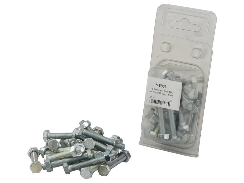 Sparex Agripak M6x40mm Metric Setscrews Pack of 20 Fasteners | S.5903