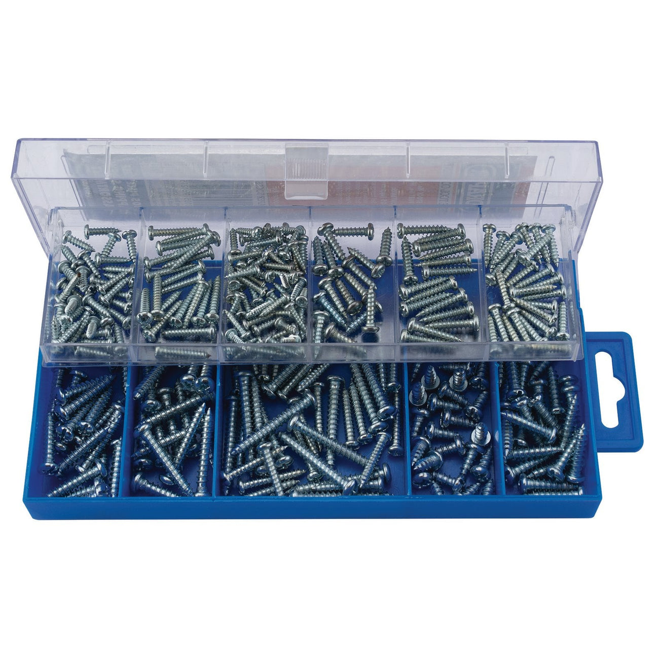 The Draper Self Tapping Screw Assortment (305 Piece) - HW8 is a blue plastic storage case with a transparent lid, containing 305 metal screws, including self-tapping screws, sorted into compartments for easy access and organization.