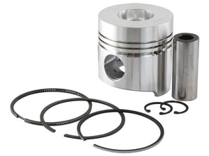 Piston & Ring Set | Sparex Part No. S.62019