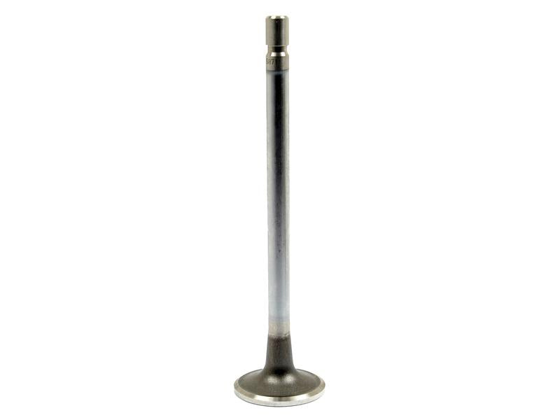 Exhaust Valve - Sparex Part No. S.65871