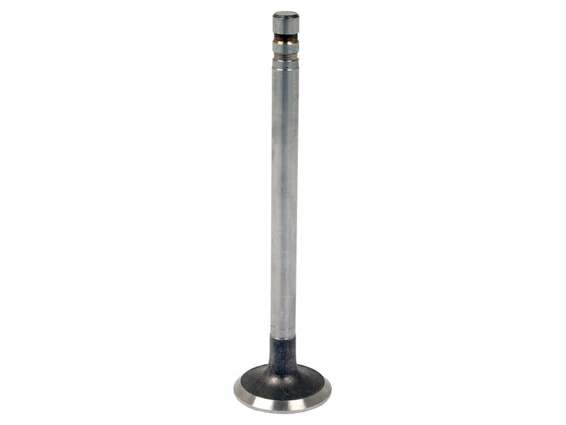 Exhaust Valve +0.015'' (0.38mm) - Sparex Part No. S.65927