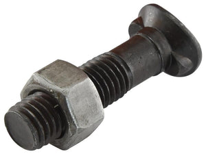 Close-up of a Sparex Oval Head Double Nib Bolt With Nut (TO2E) - M12x50mm, showcasing hardware commonly used in construction and mechanical applications. The bolt features a metric thread and an impressive tensile strength of 10.9.