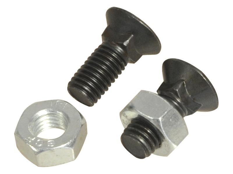 Sparex Round Countersunk Square Hex Bolt & Nut M10x25mm 8.8 | S.76076