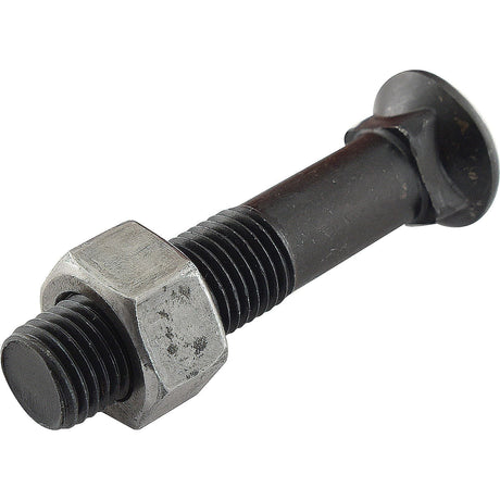 A Round Countersunk Square Hex Bolt & Nut (TFCC) - 7/16'' x 51mm with a tensile strength of 8.8 from Sparex, specifically Sparex Part No.S.78718.