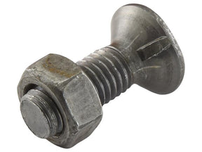 Sparex Countersunk Head Bolt 1 Nib With Nut (TF1E) - M10 x 40mm, Tensile strength 8.8 (25 pcs. Box) | S.78827 - Product Image 1