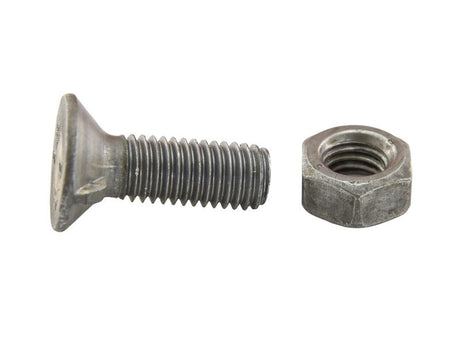 Sparex Countersunk Head Bolt 1 Nib With Nut (TF1E) - M10 x 40mm, Tensile strength 8.8 (25 pcs. Box) | S.78827 - Product Image 2