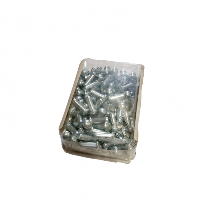 A cardboard box filled with silver metal bolts for the Massey Ferguson mower MF60, featuring parts like the 817022M1, is known as the AGCO Massey Ferguson - Rivot Box - 79010053.