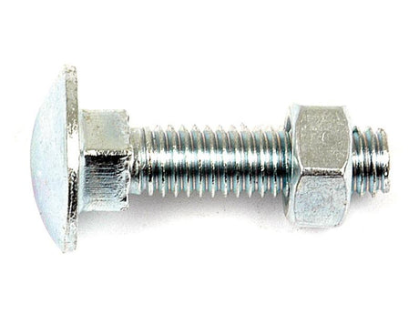 Metric Carriage Bolt and Nut, M10x90mm (DIN 601/934) | S.8277 - Farming Parts