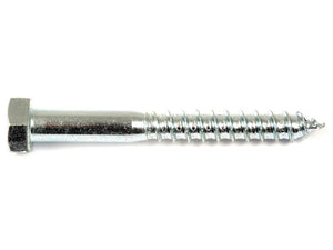 Metric Coach Screw, M6x30mm (DIN 571) | Sparex Part Number: S.8349