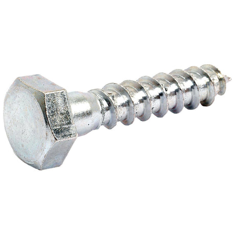 Metric Coach Screw, Size: M10 x 50mm (Din 571)
 - S.8370 - Farming Parts