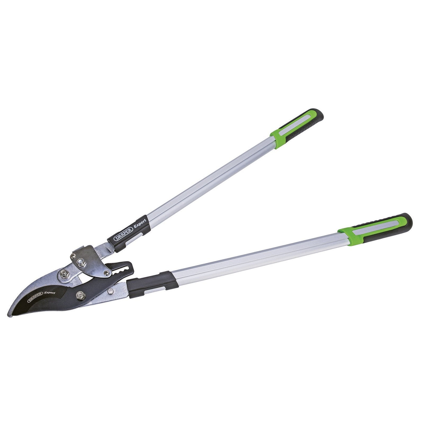 The Draper Expert Ratchet Action Bypass Pattern Loppers, 750mm - GBLS/E, are silver and black garden loppers with green accents. They feature long handles and a sharp carbon steel blade in a bypass pattern, perfect for cutting branches.