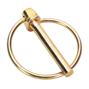 The Sealey Linch Pin Assortment 50pc Metric - AB022LP features linchpins with precisely measured metric sizes, consisting of a cylindrical shaft and a looped ring, perfect for securing fasteners. This assortment is conveniently stored in partitioned boxes for organized access.