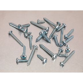 A scattered pile of the Sealey Self-Tapping Screw Assortment DIN 798CZ 305pc Pan Head Pozi Zinc (model AB064STPP) is displayed on a plain surface.