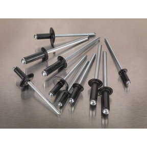 Rivet Assortment 200pc Black Anodised - AB074BR - Farming Parts