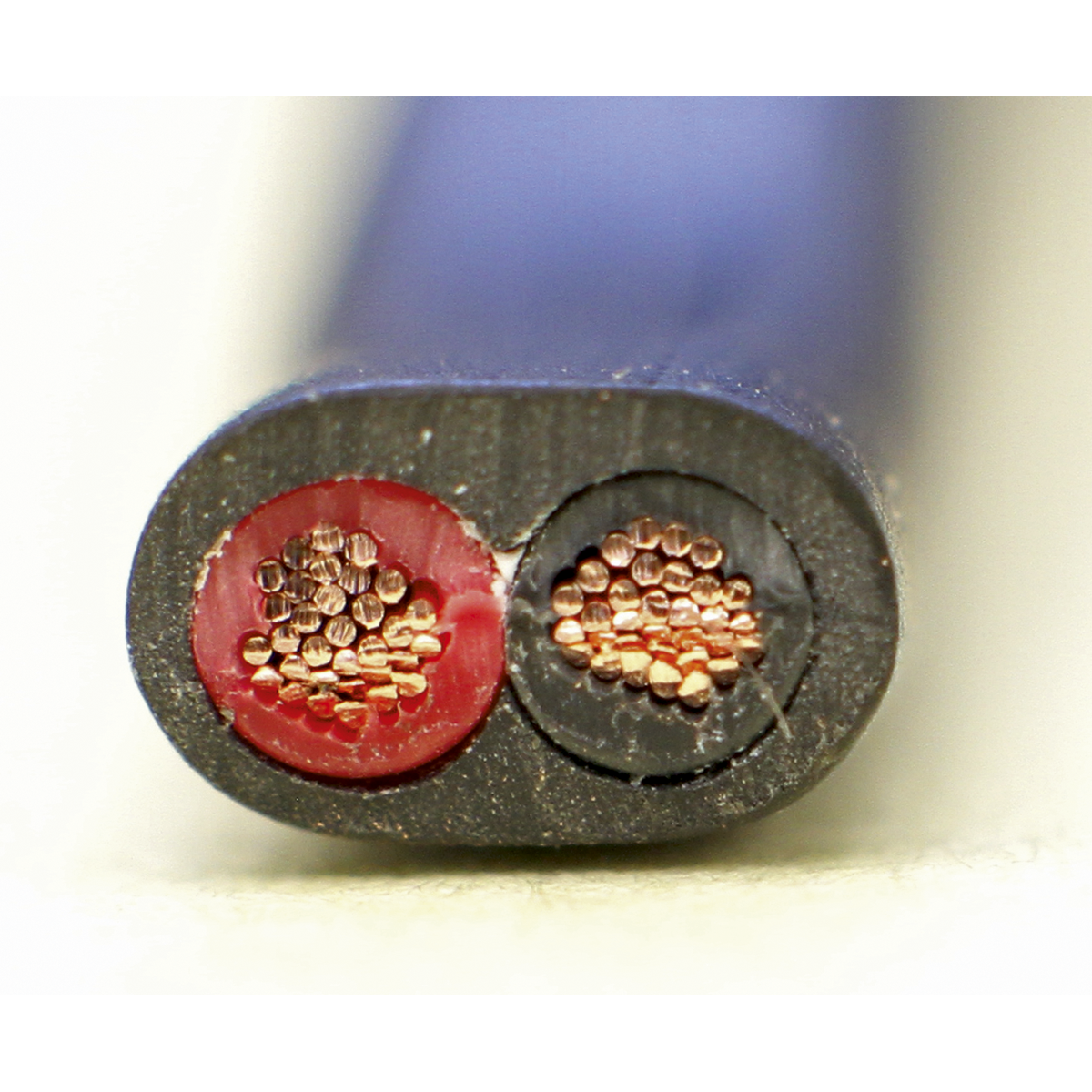 Close-up of the cross-section of Sealey's Automotive Cable Thick Wall Flat Twin 2 x 1mm² 14/0.30mm 30m Black - AC1430TWTK, featuring one red insulated wire and one black insulated wire, both composed of multiple copper strands. This RoHS Compliant product ensures reliable performance in automotive applications.