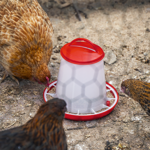 Poultry Feeder 1.5kg - SE-AFT02