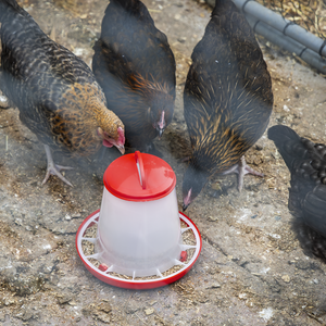 Poultry Feeder 1.5kg - SE-AFT02