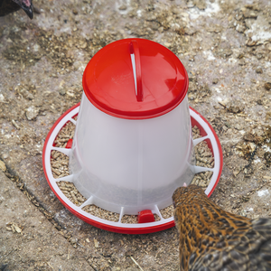 Poultry Feeder 1.5kg - SE-AFT02