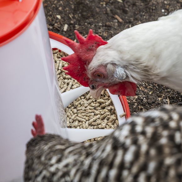 Poultry Feeder 1.5kg - SE-AFT02