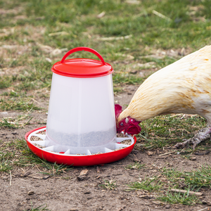 Poultry Feeder 3kg - SE-AFT03