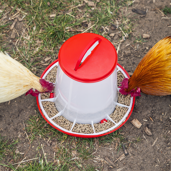Poultry Feeder 3kg - SE-AFT03
