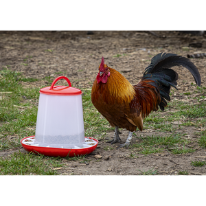Poultry Feeder 3kg - SE-AFT03
