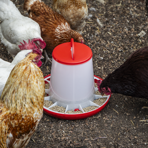 Poultry Feeder 6kg - Pack of 2 - SE-AFT042