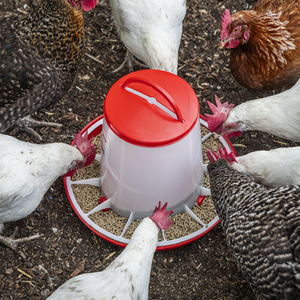 Poultry Feeder 6kg - SE-AFT04
