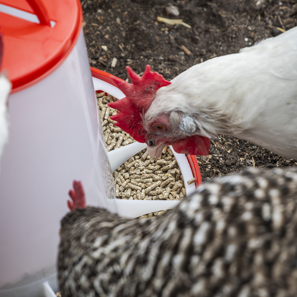 Poultry Feeder 6kg - SE-AFT04