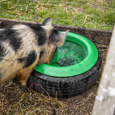 Tyre Feed Bowl 15L - SE-AFT07