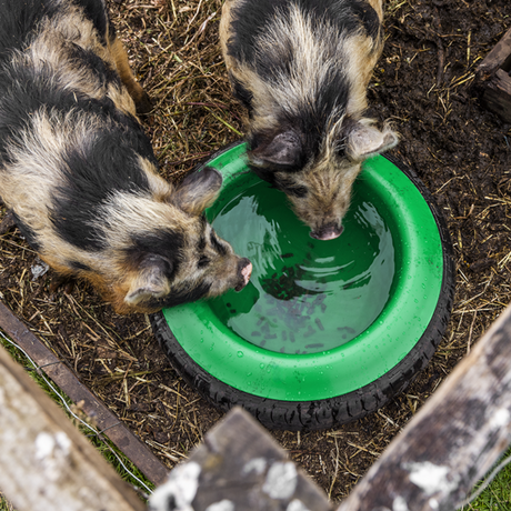 Tyre Feed Bowl 15L - SE-AFT07