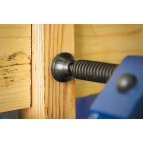 Close-up of a Sealey 100mm G-Clamp Quick Release (Model AK6004Q) securing two pieces of wood together, with the clamp's screw mechanism visible. The wood has some black markings.