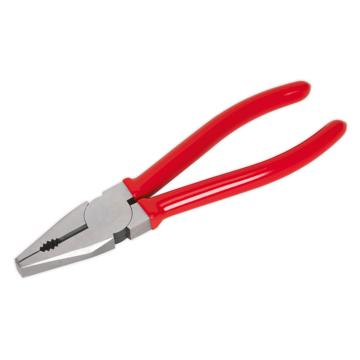 Combination Pliers 200mm - AK8561 - Farming Parts