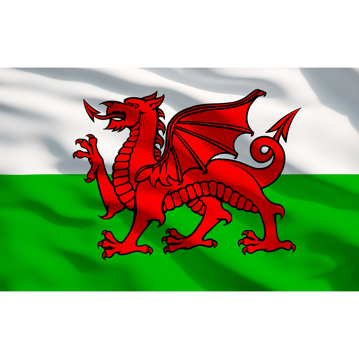 The image shows the flag of Wales, featuring a red dragon passant on a field of white and green, reminiscent of the vivid designs in Sealey's Toolbox Graphics Pack - Wales (APTBG03).