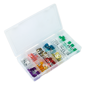 Automotive MINI Blade Fuse Assortment 100pc - BCF100 - Farming Parts
