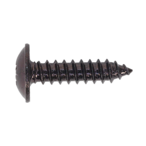 Close-up of a Sealey Self-Tapping Screw 4.8 x 19mm Flanged Head Black Pozi (BST4819), featuring a threaded body and pointed tip, isolated on a white background.