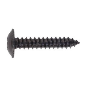 Close-up of the Sealey self-tapping screw with a black, round head and coarse thread pitch, ideal for various fastening applications. This screw features a flanged Pozi head and comes in a pack of 100 under the product name Self-Tapping Screw 4.8 x 25mm Flanged Head Black Pozi Pack of 100 - BST4825.