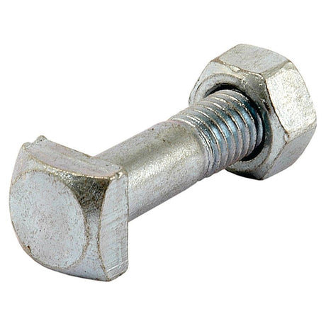 A close-up image of a Sparex S.12114 metal T-head bolt for battery terminals with a threaded shaft and a hexagonal nut.