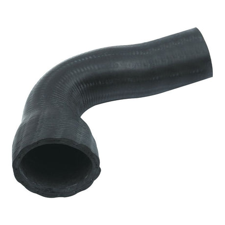 A black, flexible Bottom Hose by Sparex (Sparex Part No. S.43131), with an inner diameter of 34mm at the smaller end and 38mm at the larger end, securely fastened by a Sparex hose clip, against a plain white background.