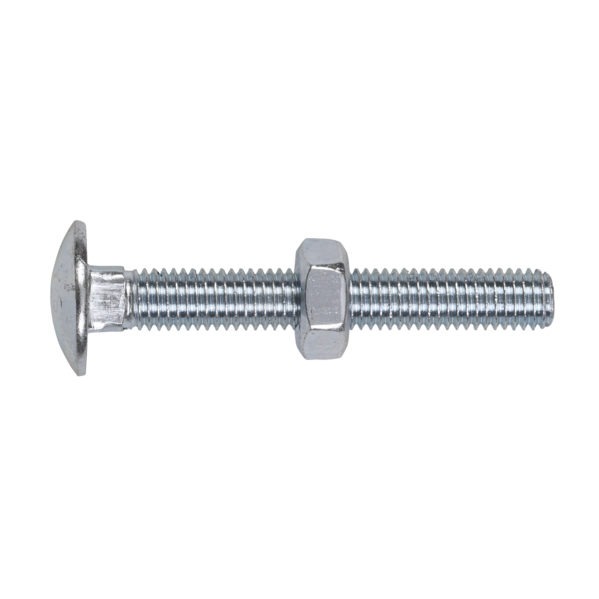 The Sealey Coach Bolt & Nut DIN 603 - M10 x 75mm Zinc (Pack of 50 - CBN1075) is displayed against a white background, highlighting its rounded head and threaded shaft. A hexagonal nut is positioned in the middle, adhering to DIN 603 standards.