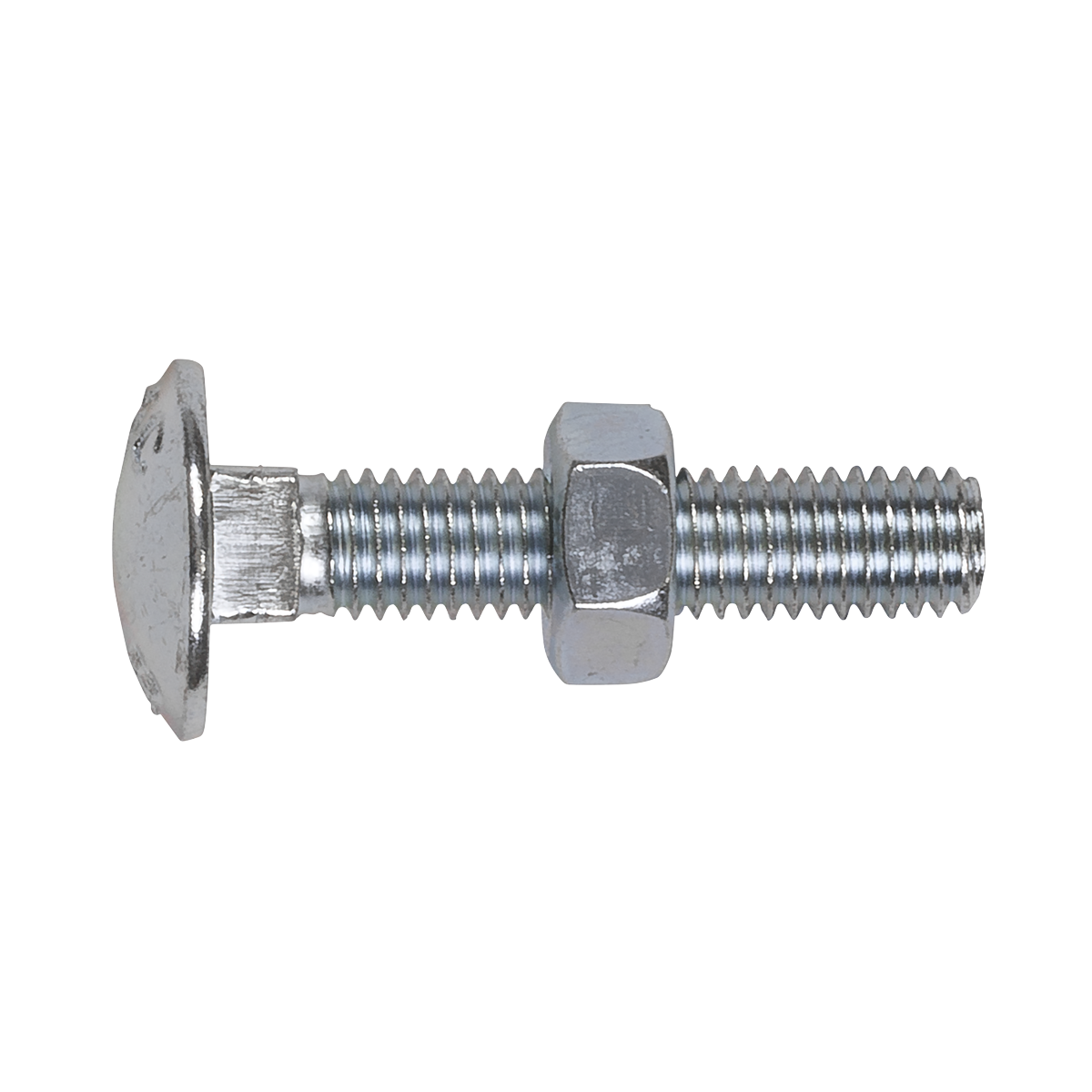 A Sealey Coach Bolt & Nut DIN 603 - M8 x 40mm Zinc (Pack of 50 - CBN840), displayed against a white background.