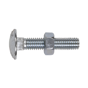 A Sealey Coach Bolt & Nut DIN 603 - M8 x 40mm Zinc (Pack of 50 - CBN840), displayed against a white background.