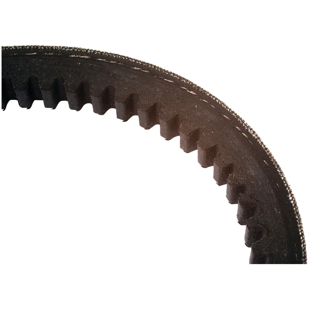 Close-up view of a black toothed drive belt, typically used in mechanical and automotive applications, featuring the AV13 section from Sparex (Drive Belts - AV13 Section - Belt No. AV13x1310 | Sparex Part No.S.11171).